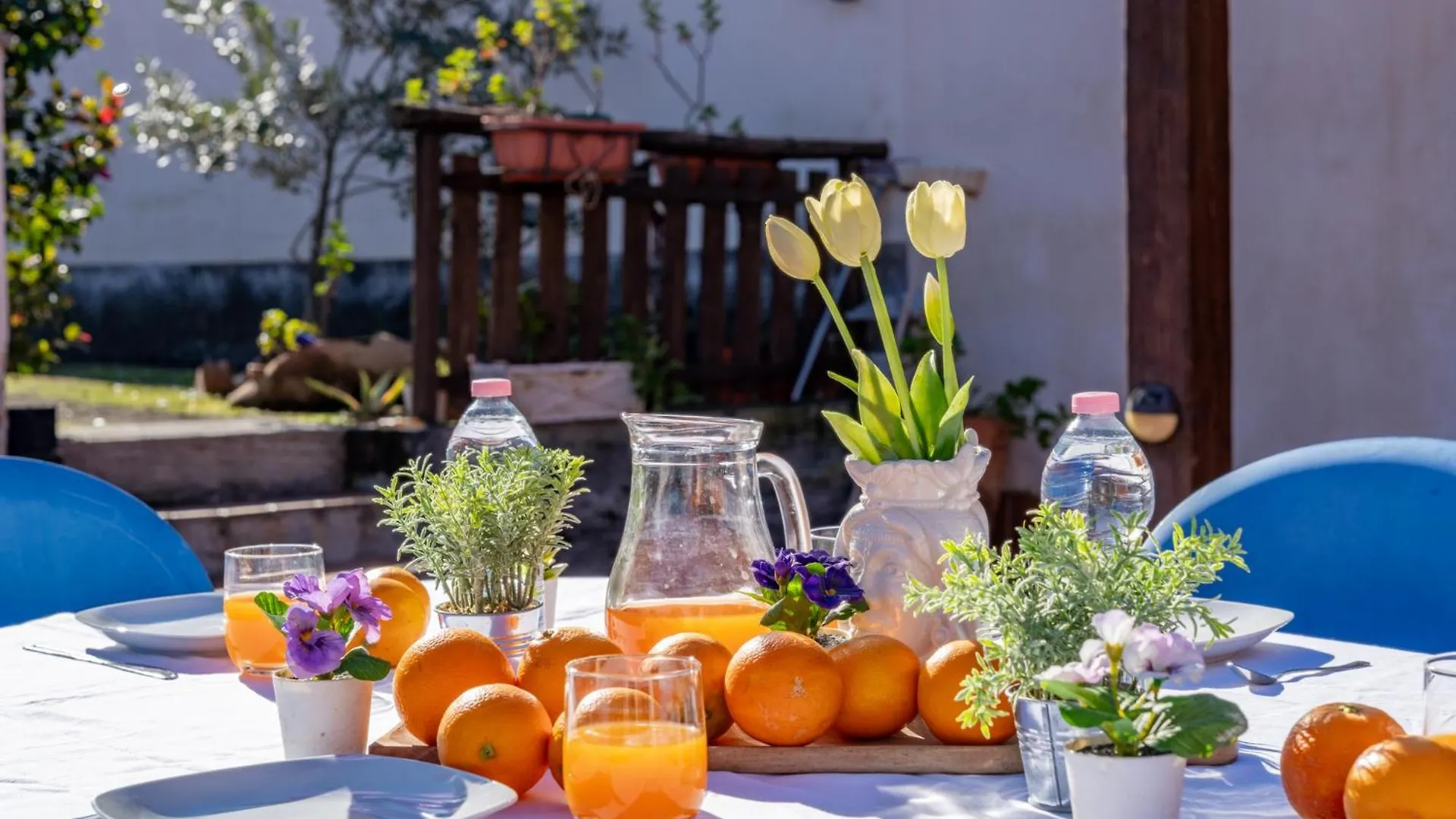 La Casa Di Gio Villa Viagrande